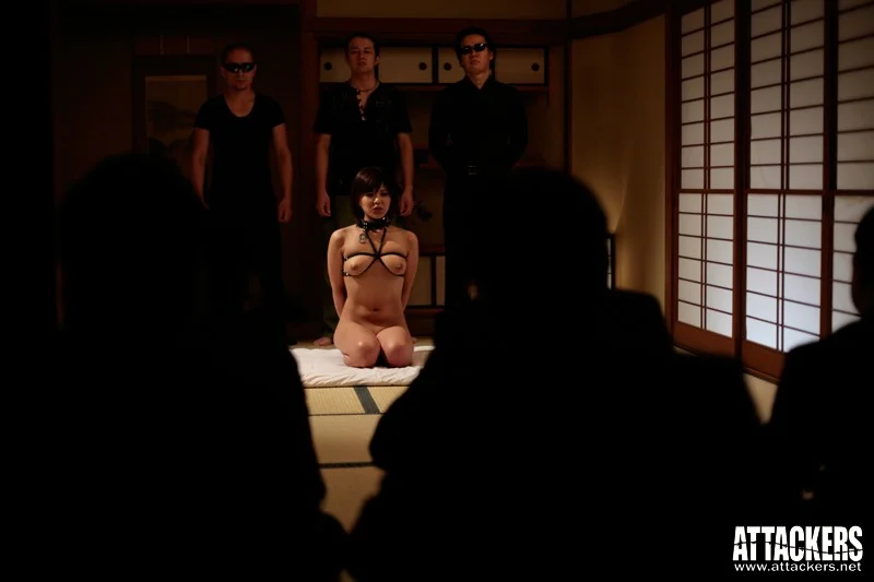 The Enslaved Female Teacher 5