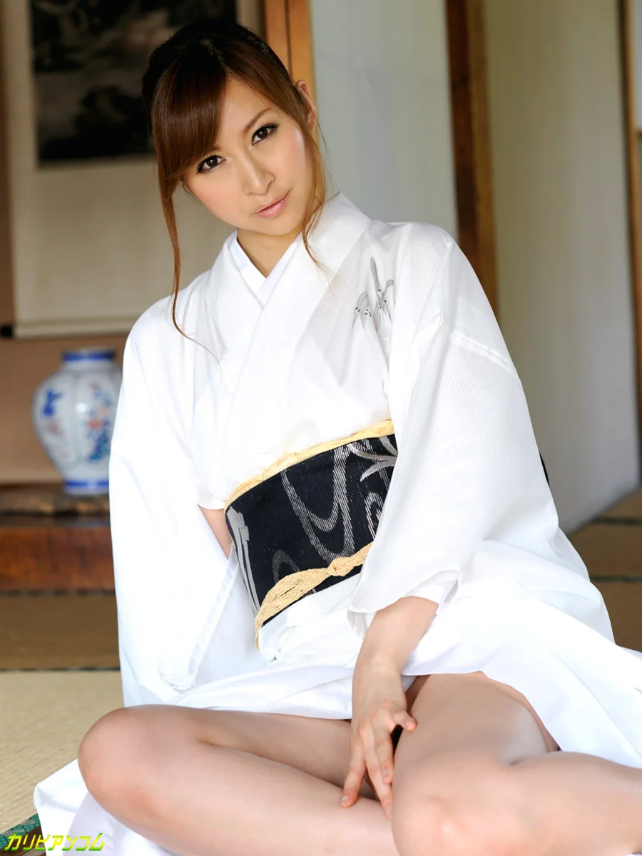 THE 留袖 III ~妖艶な和服姿で乱れる美熟女たち~