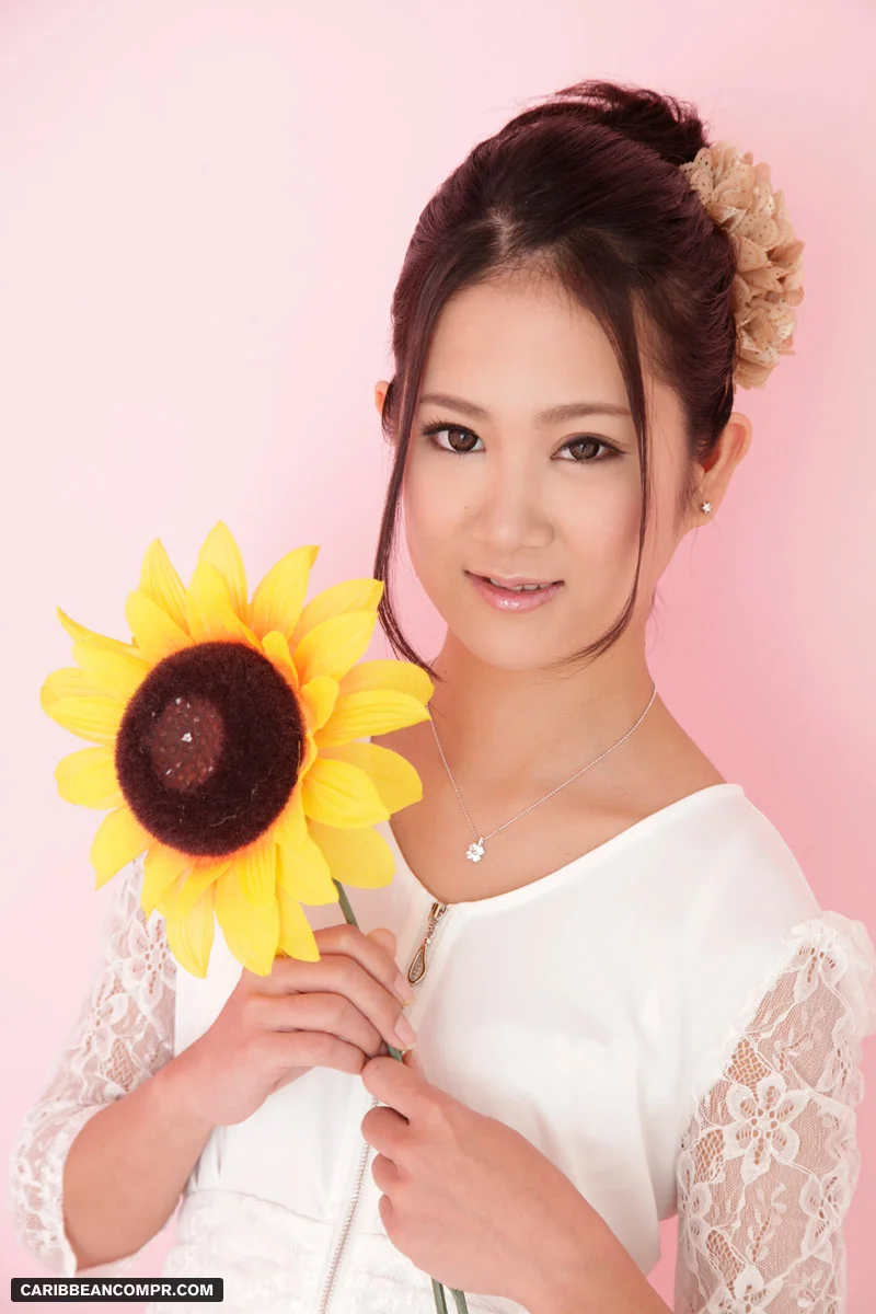Sky Angel 172