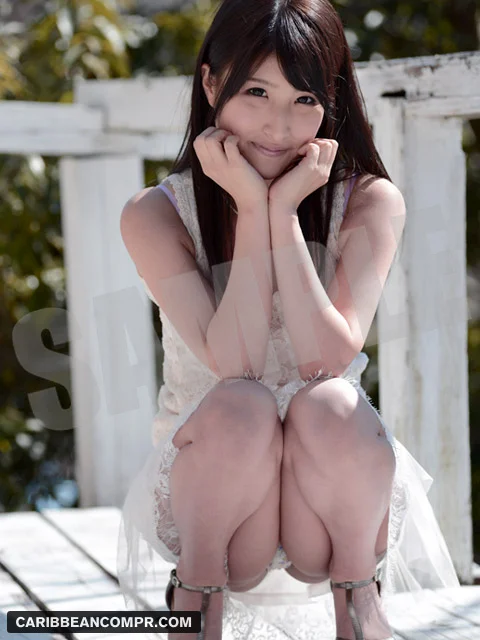 S Model DV 20 ～お嬢様のエロバイト～