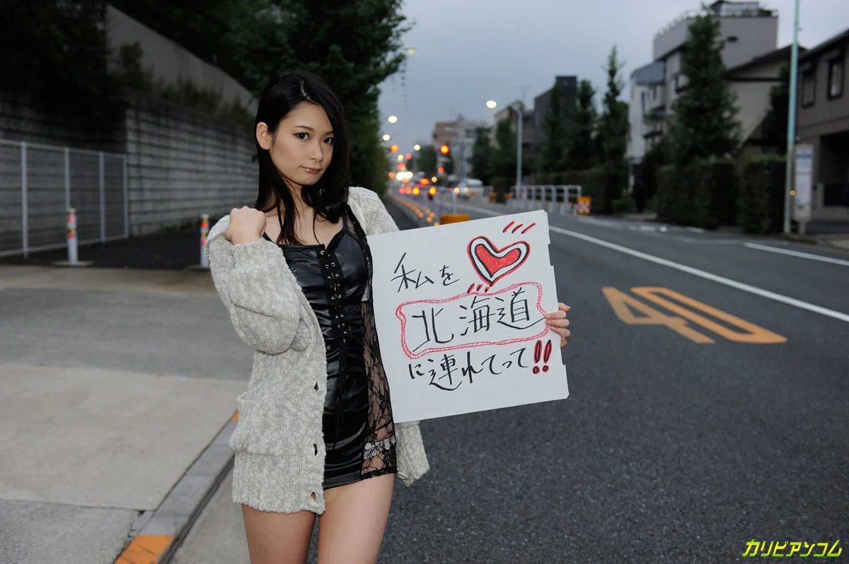 Zero Cash! Aim for King Crab! A Ditzy Hitchhiking Adventure!