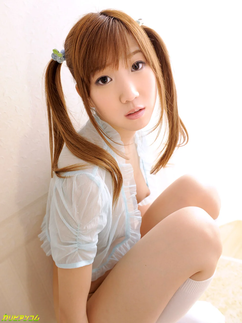 Pure, Petite Adult Pet