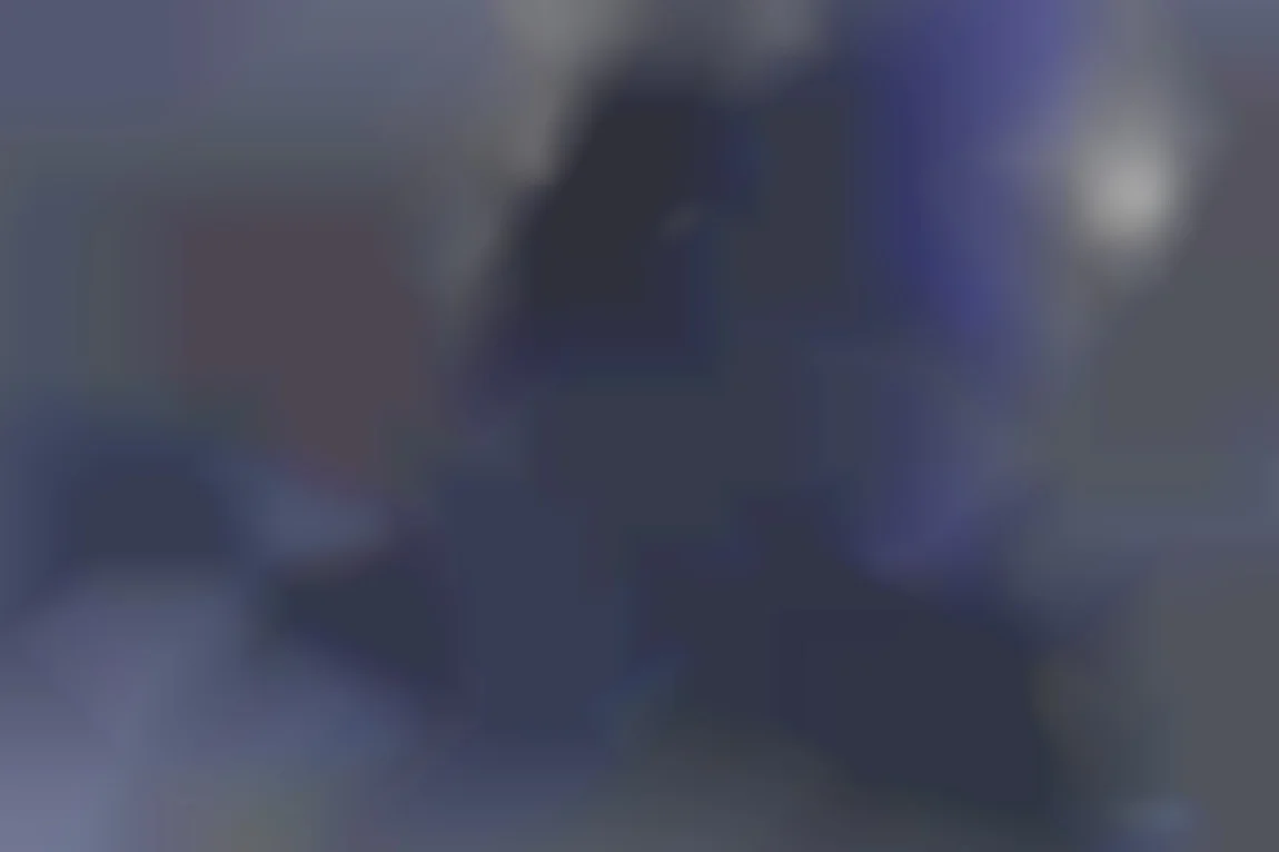 情熱の一夜の記憶
