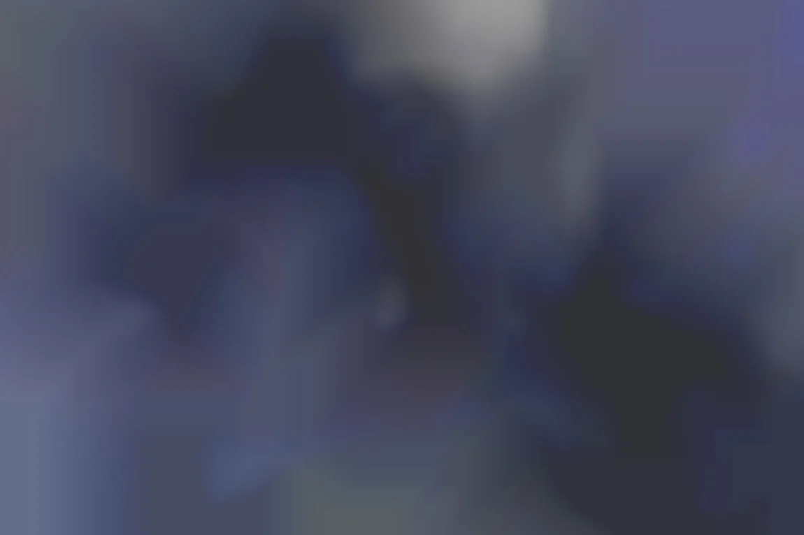 情熱の一夜の記憶