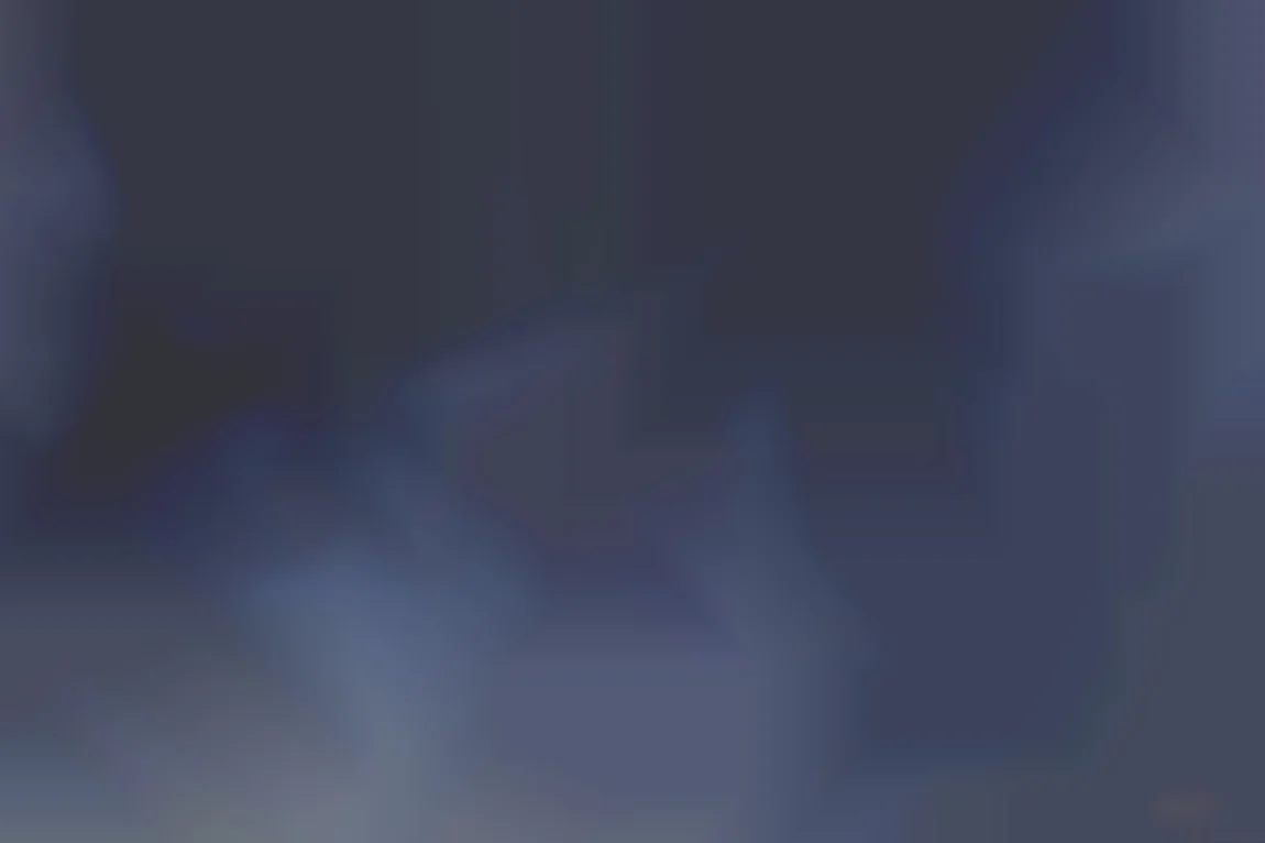 情熱の一夜の記憶