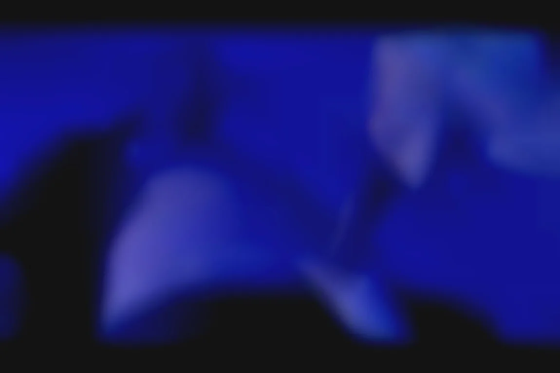 Christy的恋足之夜