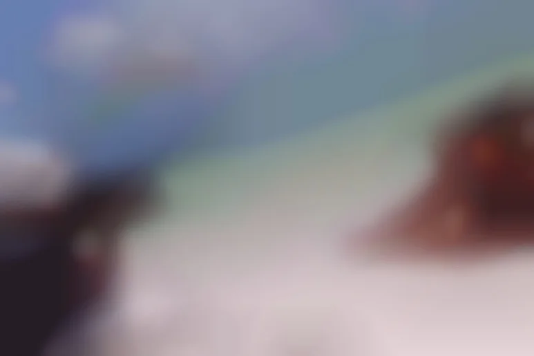 メイキング - カリブ海の独身女性パーティー